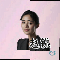 赵锐